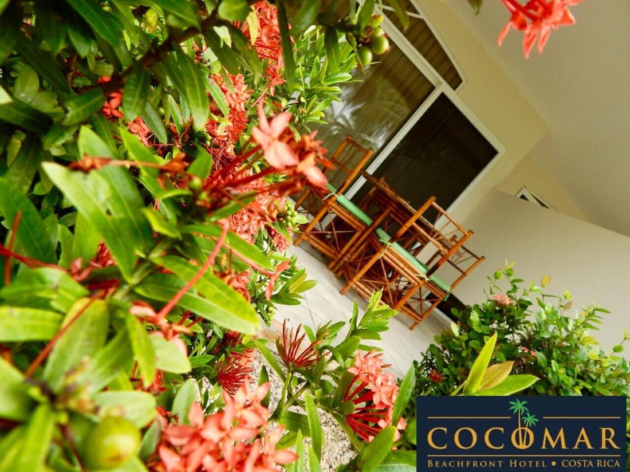 Cocomar Beachfront Hotel 帕里塔 外观 照片